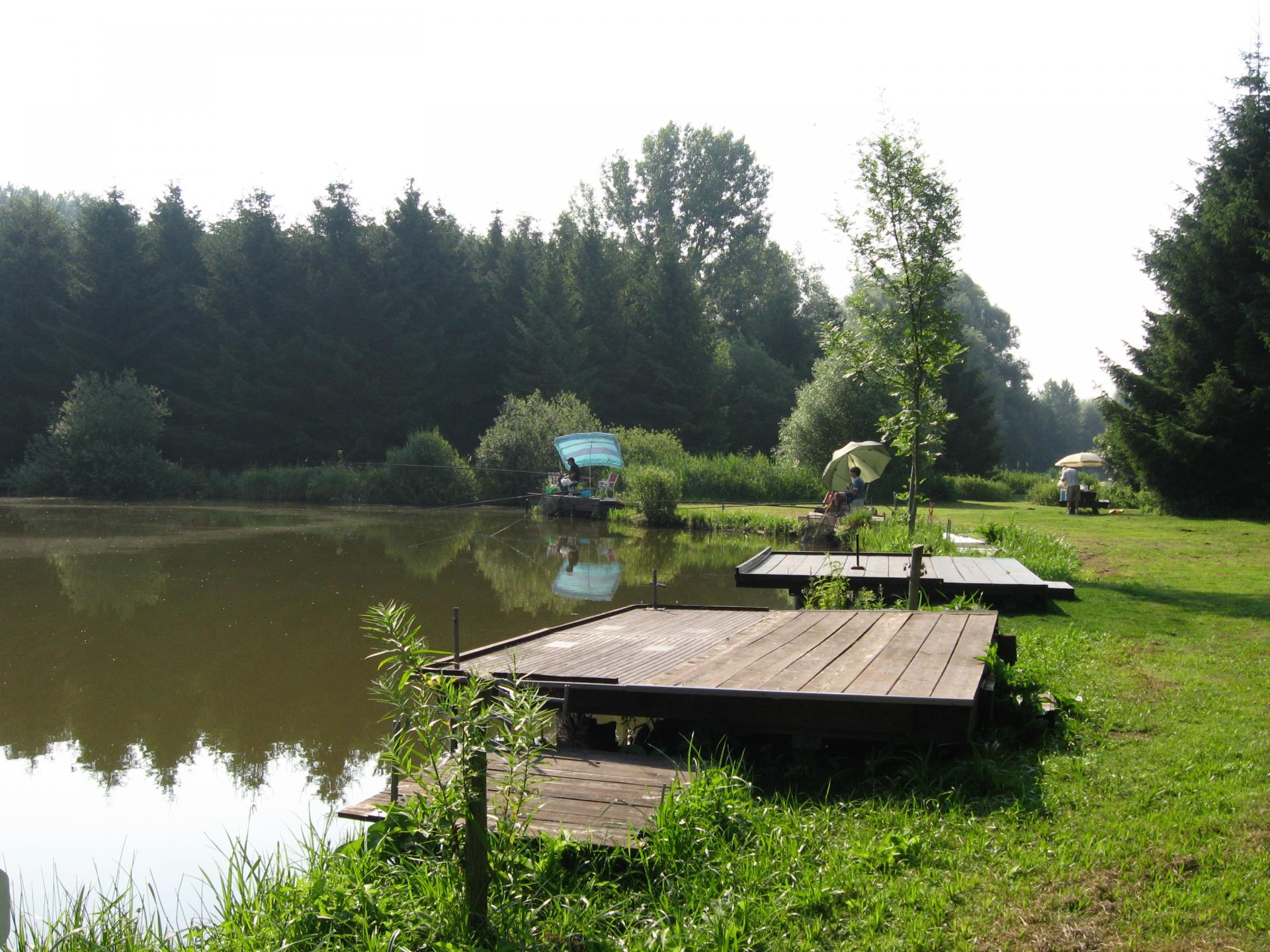 Marest1 006